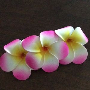 Hair clip BOGO